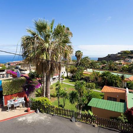Finca La Gaviota - Maxi Icod De Los Vinos Eksteriør billede