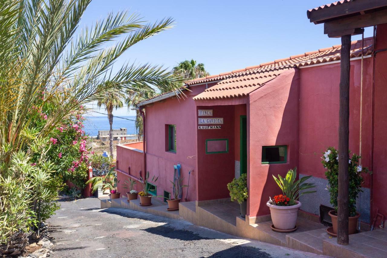 Finca La Gaviota - Maxi Icod De Los Vinos Eksteriør billede